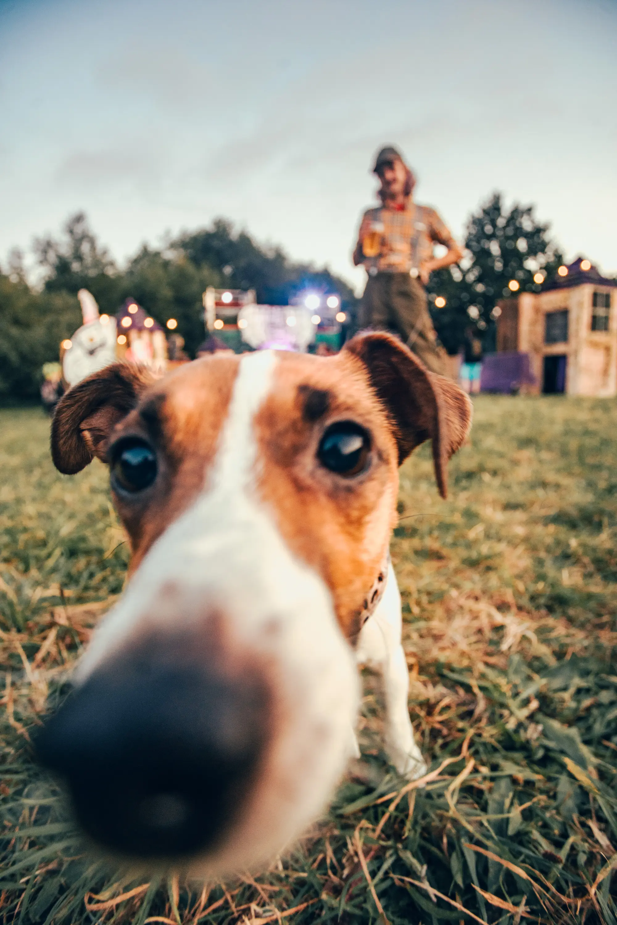 Dog Friendly